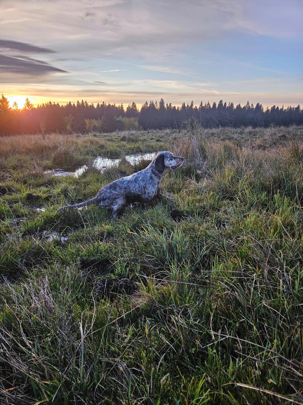 Ugarte Des Sentiers De La Douyne