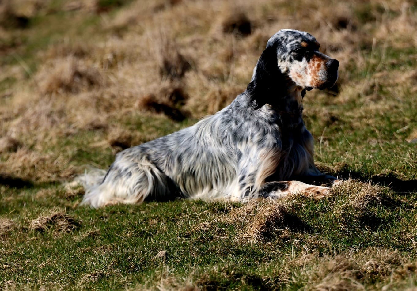 Ugarte Des Sentiers De La Douyne